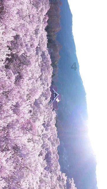 手机游戏