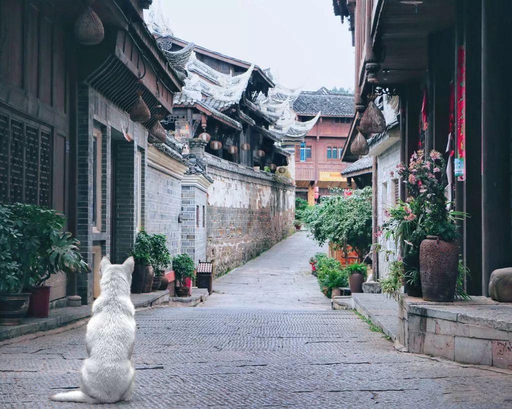 密室逃脱4之可怕的电影院